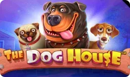 Revolution Casino giochi The Dog House